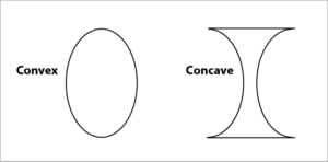Sketch to show the difference between a convex and a concave lens